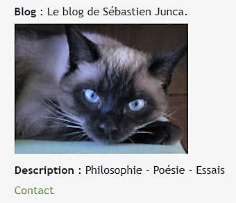 sebastien-junca